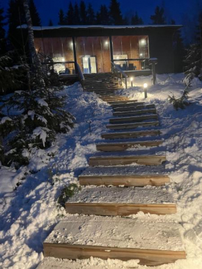 Lakeside villa with hole in the ice Kangasniemi